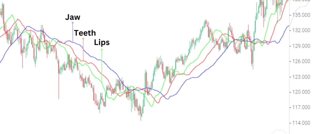 Williams Alligator Indicator