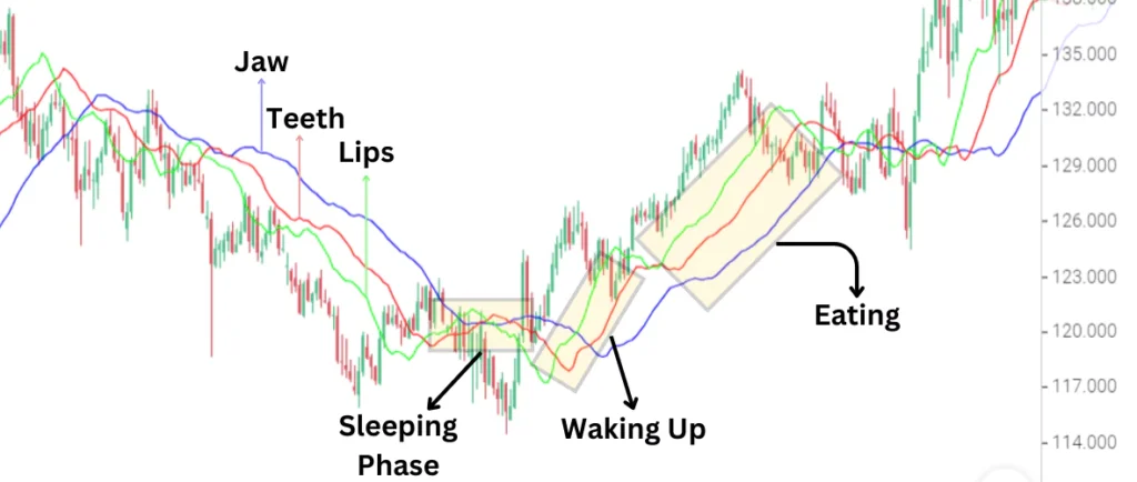 Williams Alligator Indicator